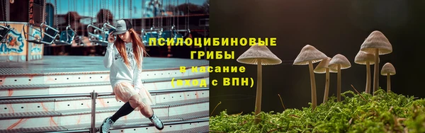 спиды Майский
