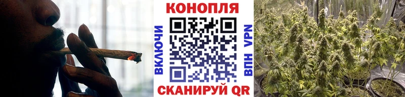 Канабис планчик  Подпорожье 